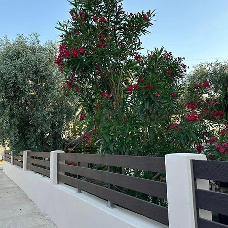 Valia House Thassos Apartman Skála Kallirákhis Kültér fotó
