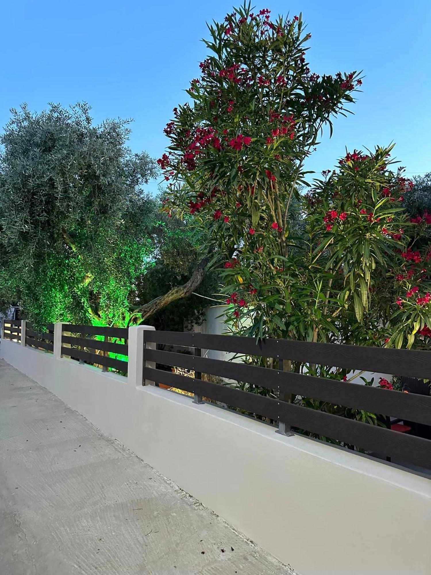 Valia House Thassos Apartman Skála Kallirákhis Kültér fotó