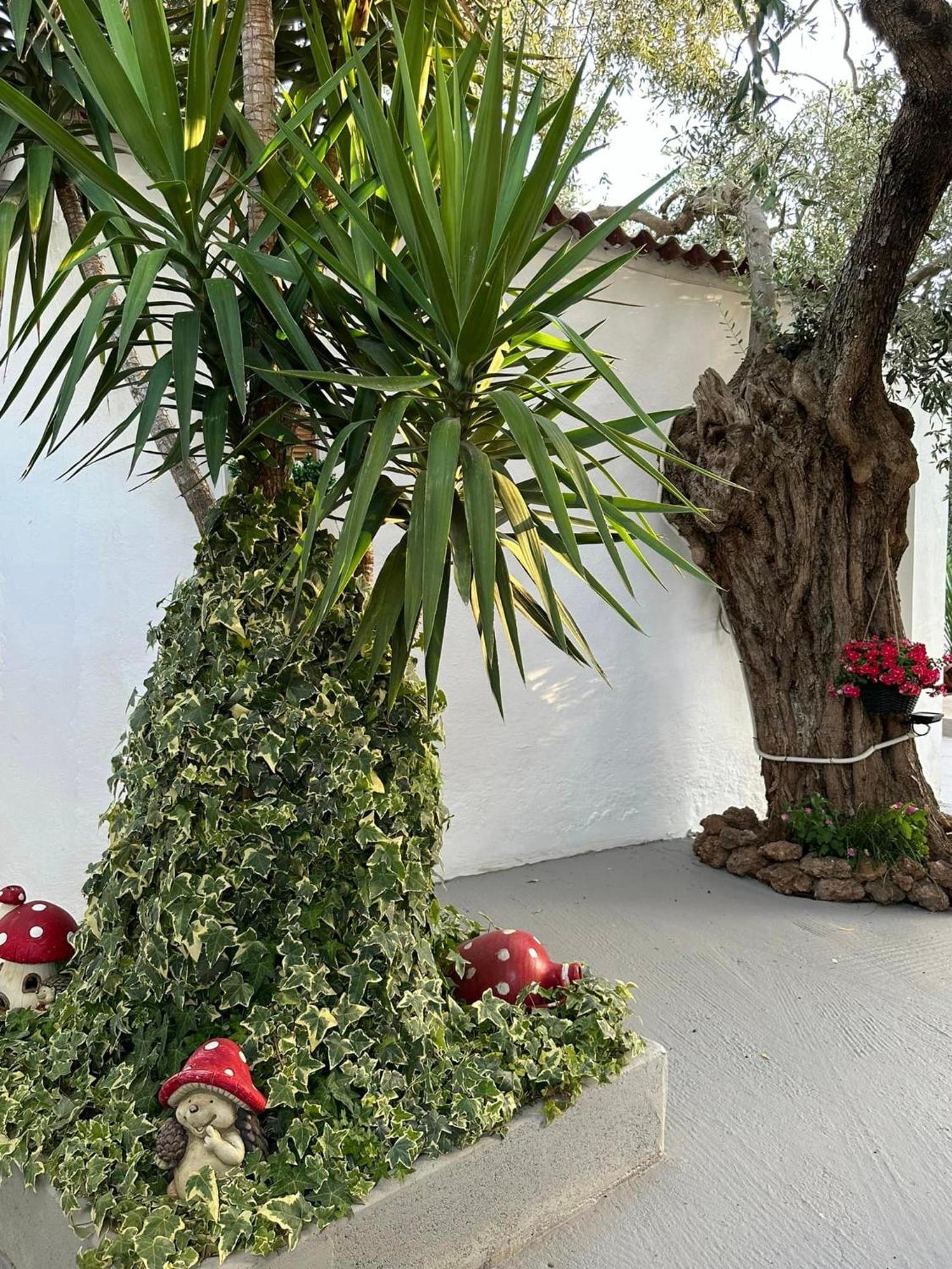 Valia House Thassos Apartman Skála Kallirákhis Kültér fotó