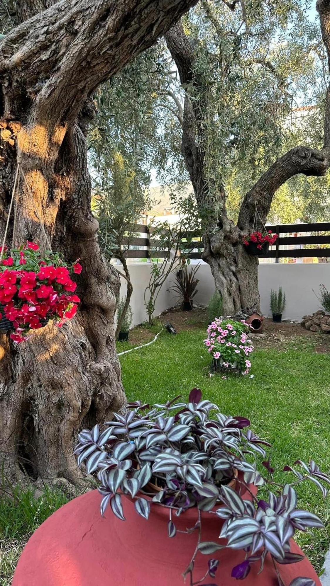 Valia House Thassos Apartman Skála Kallirákhis Kültér fotó