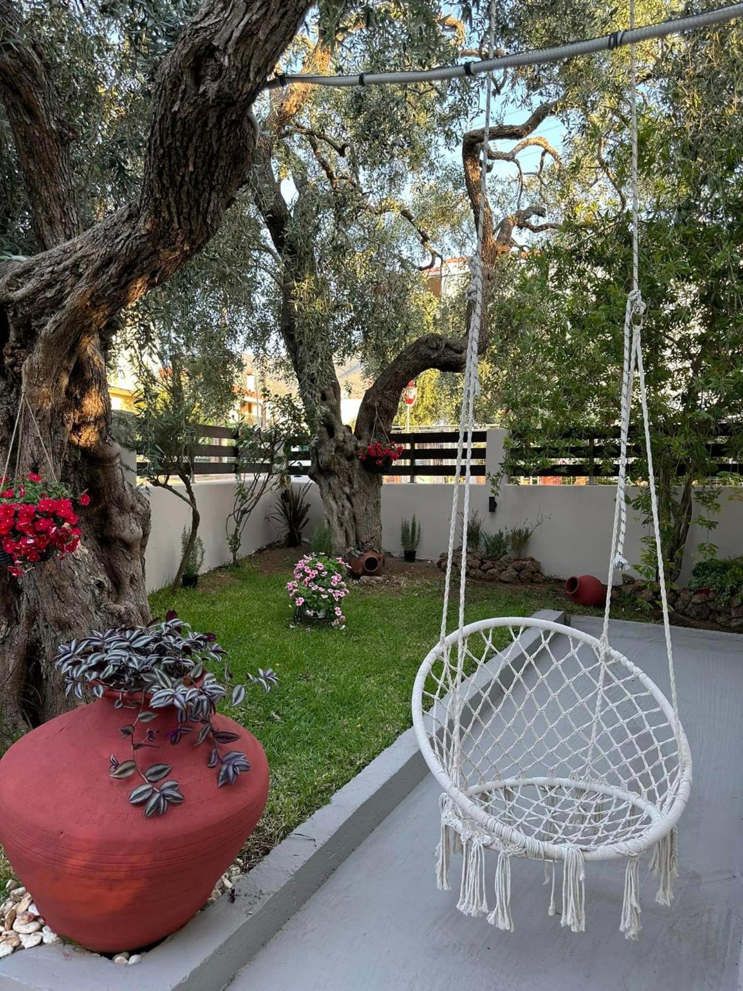 Valia House Thassos Apartman Skála Kallirákhis Kültér fotó