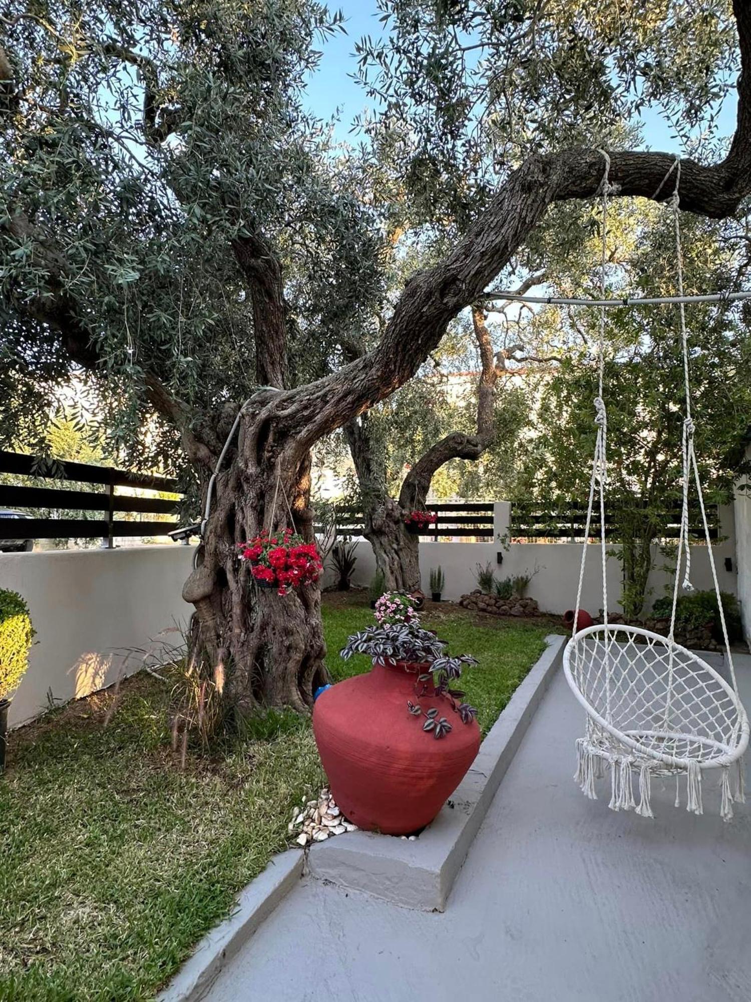 Valia House Thassos Apartman Skála Kallirákhis Kültér fotó