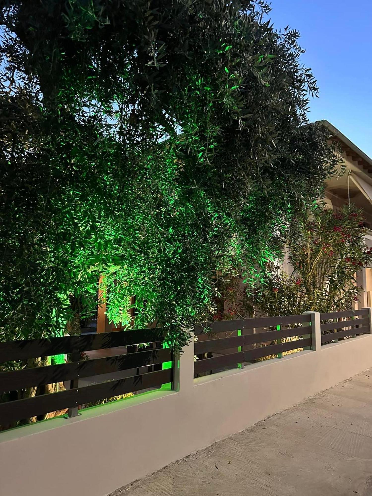 Valia House Thassos Apartman Skála Kallirákhis Kültér fotó